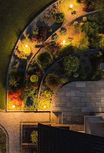 Vista aérea de jardín paisajístico con sendero curvo iluminado y vegetación nocturna